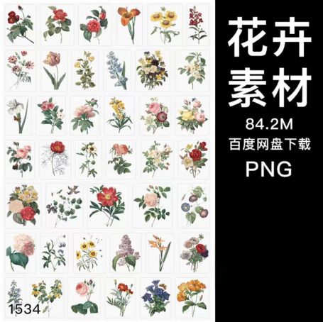 1534款复古Vintage维多利亚时期花朵花卉免扣PNG图案装饰元素PS设计素材