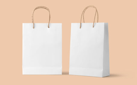 优质两个站立的纸袋展示样机