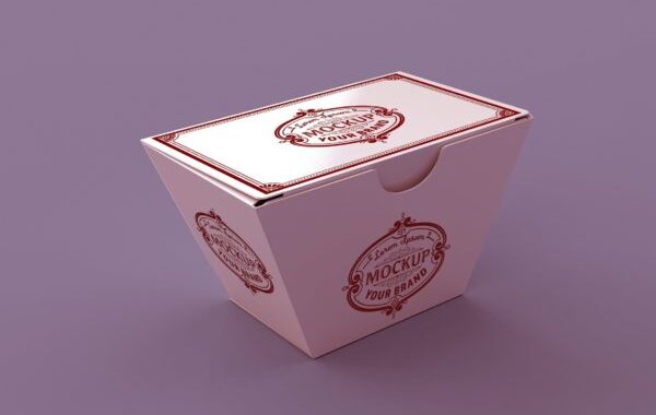 中式快餐包装设计样机展示个性餐盒设计