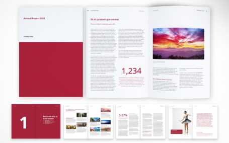 干净、现代的公司文件 (INDD)