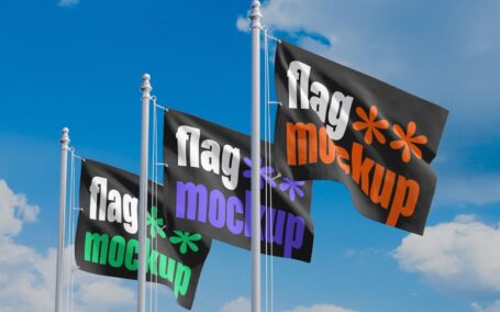 标志模型样机 (PSD)