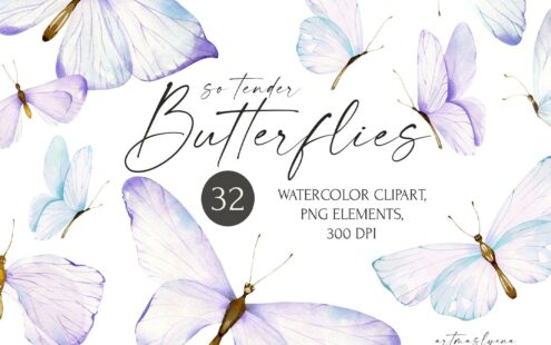 水彩蝴蝶剪贴画。可爱的蓝色昆虫。 (PNG)