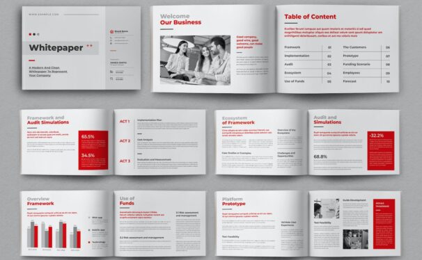 项目白皮书画册杂志模版 (INDD)