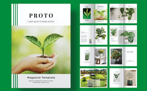 原型杂志画册模版 (INDD)