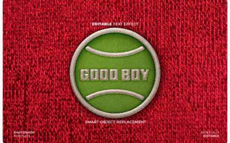 刺绣徽章LOGO模型样机 (PSD)