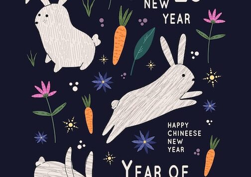 2023年新年兔年海报设计模板[eps]