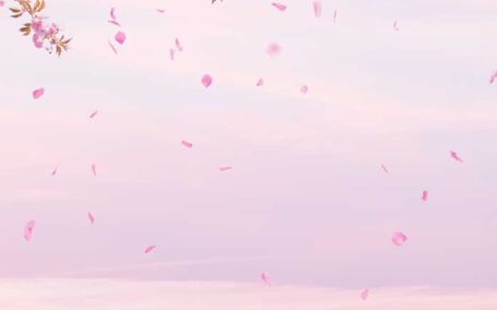 粉色花卉天空背景手机壁纸背景素材 (psd)