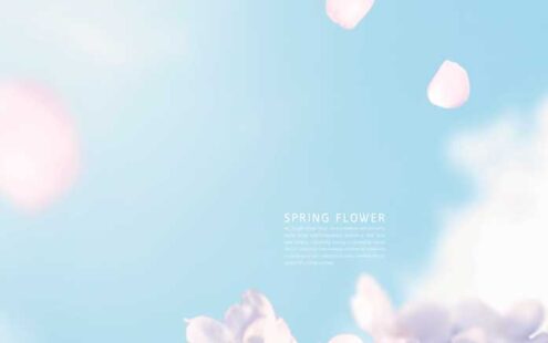 蓝天樱花春季主题手机壁纸背景素材 (psd)