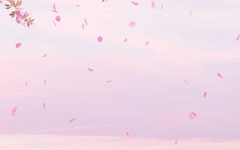 粉色花卉天空背景手机壁纸背景素材 (psd)