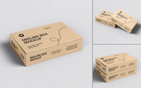 （飞机盒）牛皮纸邮件递送盒品牌模型样机 (PSD)