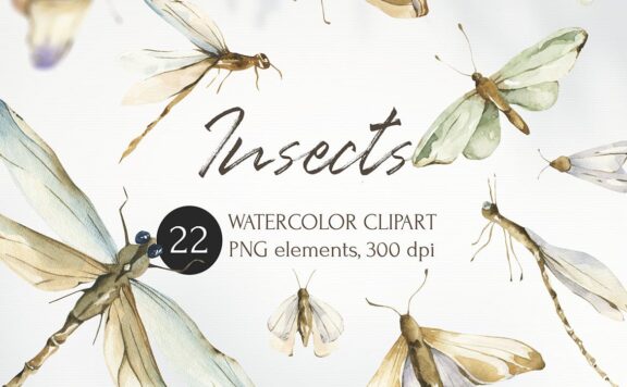 高品质的时尚清新手绘昆虫大集合