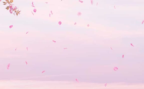 粉色花卉天空背景手机壁纸背景素材 (psd)