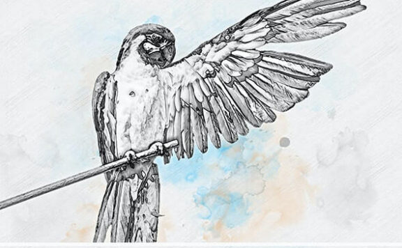 铅笔素描画PS照片效果 (psd)