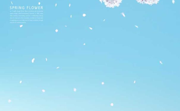 白色樱花蓝天风景手机壁纸背景素材 (psd)