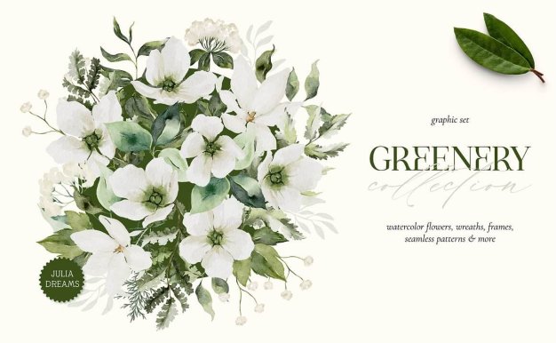 绿叶花卉植物水彩系列插画素材 (jpg,png)