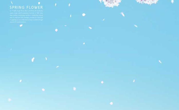 白色樱花蓝天风景手机壁纸背景素材 (psd)