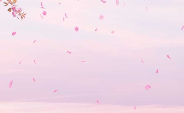 粉色花卉天空背景手机壁纸背景素材 (psd)