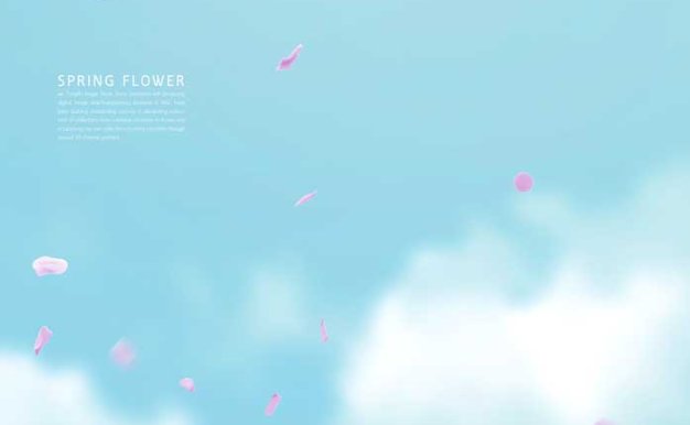 飘落樱花蓝天手机壁纸背景素材 (psd)