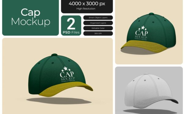 帽模型样机 (PSD)