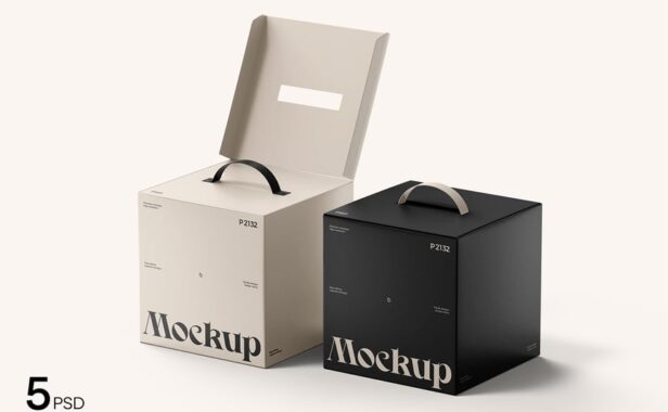 塑料手柄的立方体盒模型样机 (PSD)