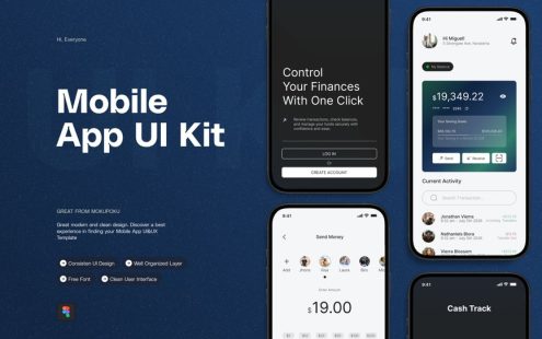 资金流水跟踪移动应用APP UI KIT (FIG)