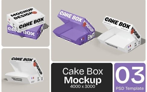 纸质蛋糕盒模型