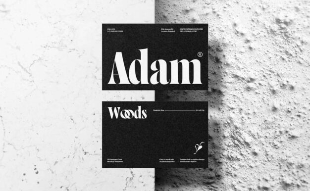 逼真的英国名片模型