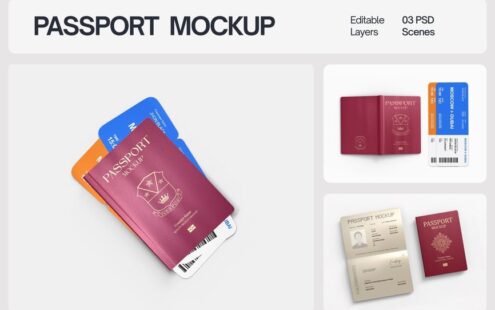 国际护照封面样机套装