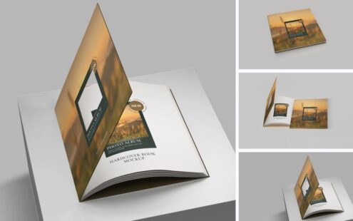 精装书中心切口模型