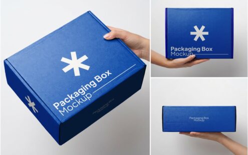 包装盒模型